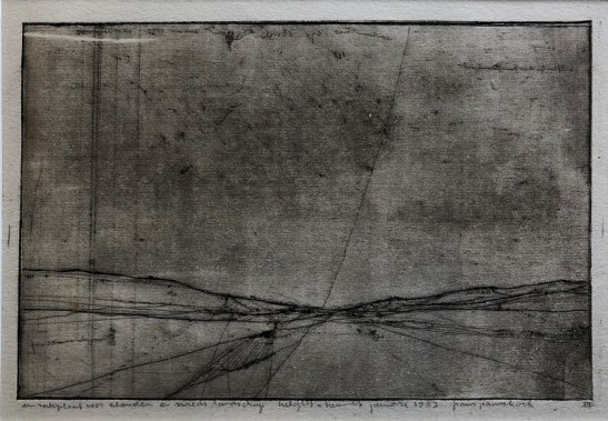 B. Zoekplaatje voor een Eland